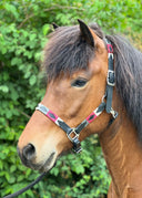 e.Polar Halfter für Islandpferde ESKOTOMIC