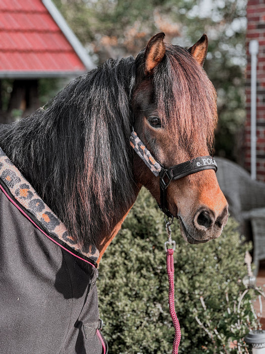 'LEOX' Premium Halfter e.POLAR, schwarz mit Teddyfleece.