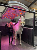 MAXUSS THERA SOLARIUM MIT UV- UND RGB-LED-SPOTS