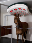 Pferdesolarium MeRCuRR 230 ESKOTOMIC