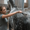 Federstriegel mit Kunststoffgriff - Sprenger ESKOTOMIC