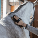 Kardätsche Perlon Borsten - Sprenger ESKOTOMIC