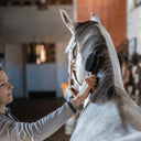 Mähnenbürste mit zwei Seiten - Sprenger ESKOTOMIC