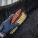 Wurzelbürste Perlon Borsten - Sprenger ESKOTOMIC