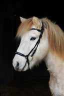 anatomic Kings Trense (han.) ESKOTOMIC