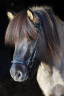 Kings Nasenriemen (han.) ESKOTOMIC