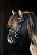 anatomic Trense Sóley (engl./komb)