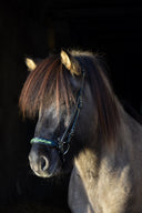 Skrát Green Nasenriemen (han.) ESKOTOMIC