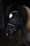 anatomic Trense Sóley (engl./komb)