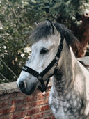 Halfter Neopren e.POLAR, schwarz ESKOTOMIC