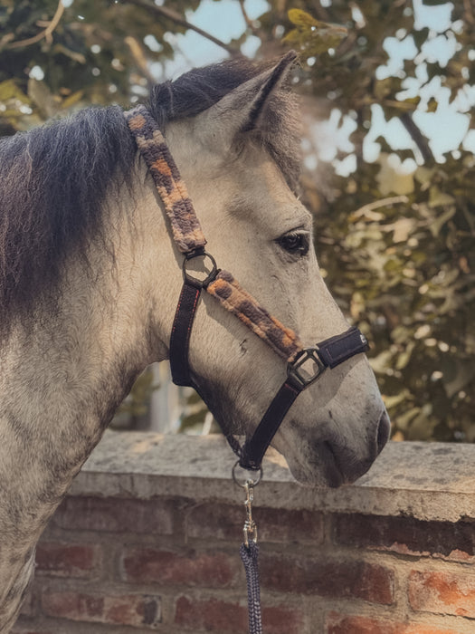 'LEOX' Premium Halfter e.POLAR, schwarz mit Teddyfleece.