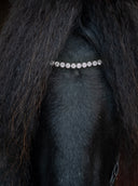 Crystal Dream Stirnriemen ESKOTOMIC