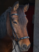 Aura Trense ESKOTOMIC