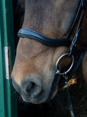 ExtraSoft Liftri Nasenriemen, anatomisch, engl. ESKOTOMIC