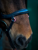 Classic Soft anatomisch englisch. komb. Nasenriemen ESKOTOMIC