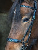 Skrát black Trense (han.) ESKOTOMIC