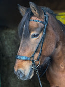 Skrát black Trense (han.) ESKOTOMIC