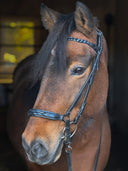 Skrát black Trense (han.) ESKOTOMIC