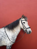 Anatomic Kings*Elma Trense (han.)