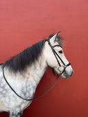 Kings Strinriemen ESKOTOMIC