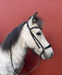 Anatomic Kings*Elma Trense (han.)