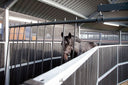 Führanlage Sublime ESKOTOMIC