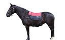 "WARM-UP"-Massagedecke ESKOTOMIC